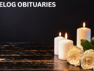 Sarah Assali Obituary