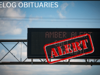 jonathan hoang missing